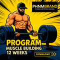 12 Week Muscle Building Workout Plan | PHNM Hypertrophy Training Program | Digital Download